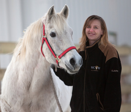 Bruce, WCVM's resident stallion, and WCVM professor Dr. Claire Card. Photo: Christina Weese.