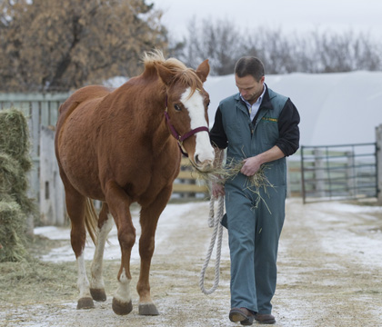 Dr. James Carmalt and one of the WCVM's teaching mares. Photo: David Stobbe.