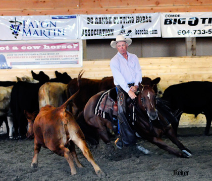 Dr. David Paton and his mount during a cutting horse competition. Photo courtesy of Dr. David Paton.