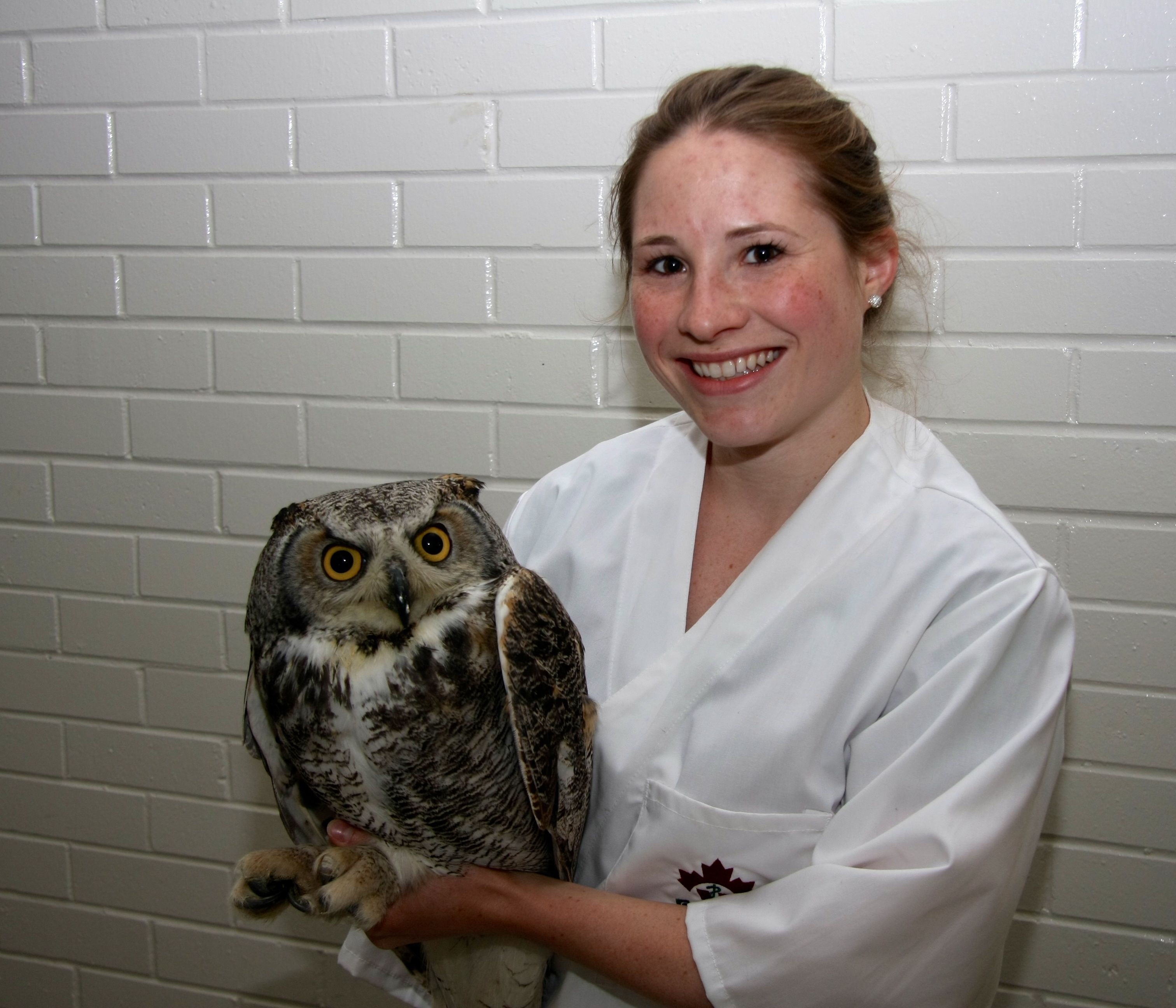 WEAMS president Michelle Whitehead poses with Voldemort, a great horned owl receiving treatment at the WCVM. Photo: Melissa Cavanagh.