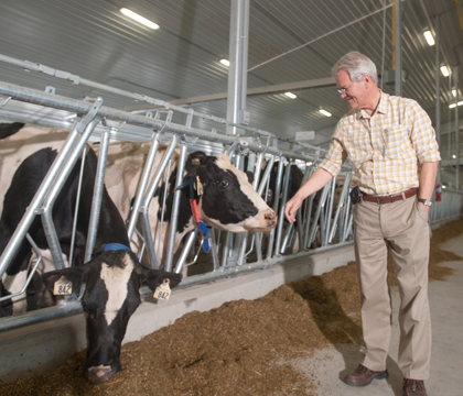 Dr. Bernard Laarvald visits the first dairy cows in the university's new dairy barn. Photo: On Campus News.