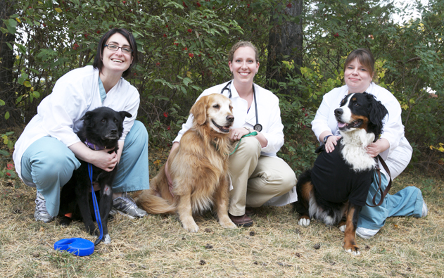 Picture of Canine cancer survivors still enjoy life - WCVM Today - Western College ...
