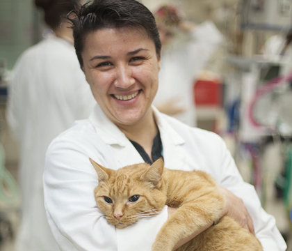 Veterinary anesthesiologist Dr. Carolina Palacios. Photo: Christina Weese.