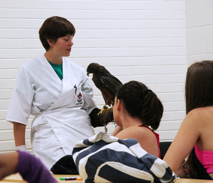 Veterinary student and SCI-FI counsellor Hilary Whiting introduces Jasmine the Swainson's hawk to VetMed campers. Photo: Melissa Cavanagh.