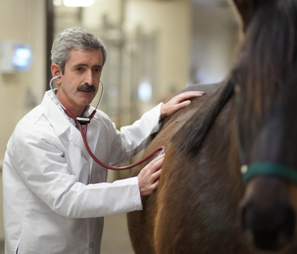 Dr. Fernando Marqués will discuss equine gastric ulcer syndrome (EGUS) on May 14. Photo: Christy Weese.