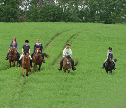 Riders take their horses on a trail ride in Grasswood Horse Park. Submitted photo.