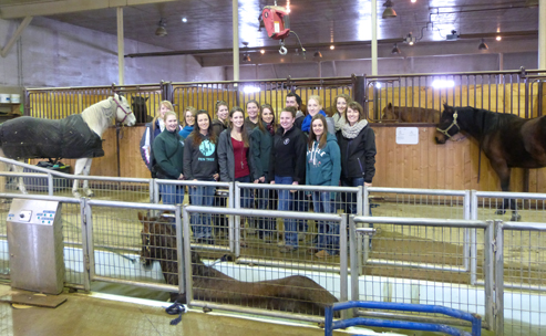A group of second-year WCVM students visited FITT Equine, a conditioning and training facility north of Calgary. Photo courtesy of Hayley Kosolofski.