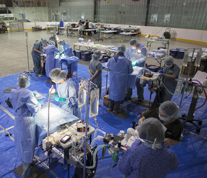 La Ronge's local arena was transformed into a temporary surgery area during the spay-neuter clinic. Photos: Christina Weese.