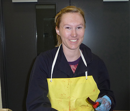 Kristine Luck, a second-year veterinary student, looks for parasites in the intestines of wolves.