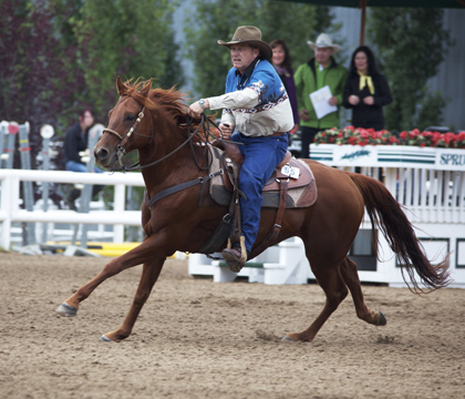 Tying-up syndrome may be sporadic or can chronically recur in affected horses. Photo: Myrna MacDonald.