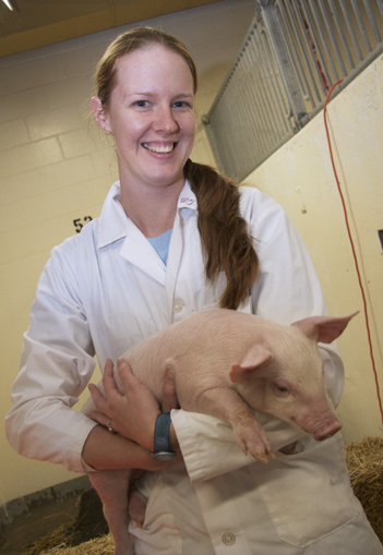 The new pig code of practice includes mandatory pain relief for piglets during castration and tail docking. Photo: Myrna MacDonald.