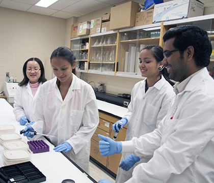 Photo by Jeanette Stewart. Grade 11 students Keshay Mitsuing and Sommer Benjamin work with WCVM PhD researchers Le Khanh (left) and Yadu Balachandran (right).