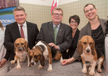 From left: MP Randy Hoback and Pongo, Minister of State Ed Holder and Patch, MP Kelly Block and WCVM researcher Dr. Lynn Weber with Toffee. Photo: Derek Mortensen, Canadian Press Images. 