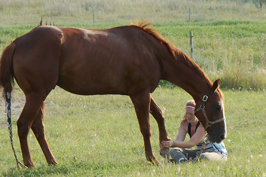 Morgan Ashdown spent hours with Jack during his recovery. Supplied photo.