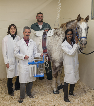  Members of Tuffy's clinical team (from left): Dr. Sara Higgins, Dr. Fernando Marqués, Dr. Chris Clark and Trinita Barboza. Photo: Christina Weese.