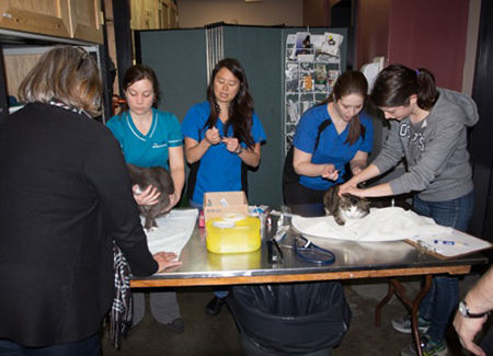 Volunteers examine pets owned by homeless and low-income people in Victoria. Submitted photo.