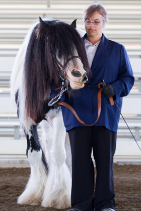 William and owner Cora Hohenberg: "He's quite the comedian." Photo: Joy Photography.