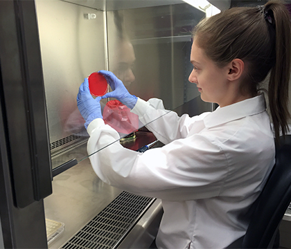 Undergraduate poster day winner Erica Seebach works in the lab. Submitted photo.