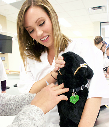 Student Karissa Mitchell holds Coco, a model patient in the new BJ Hughes Centre for Clinical Learning. 