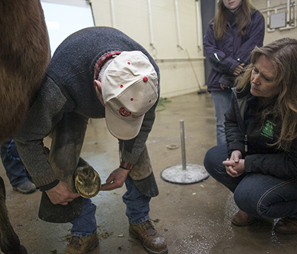 Farrier demonstrations are a popular feature of the Equine Expo. Photo by Christina Weese.