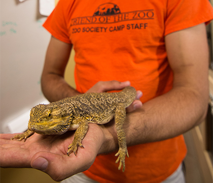 Garrett Fraess worked with many different animals at the Saskatoon Zoo and Forestry Farm. Photo by Caitlin Taylor. 