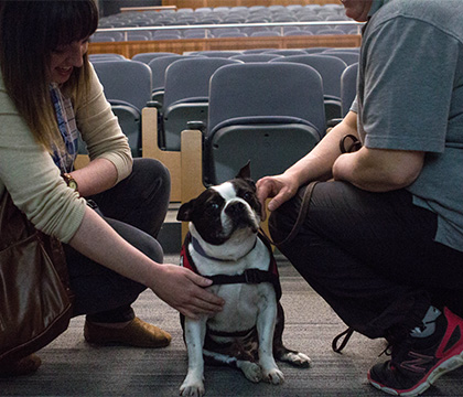 A canine volunteer demonstrates the role of therapy dogs at the 2016 One Health Research Symposium. Photo by Caitlin Taylor. 