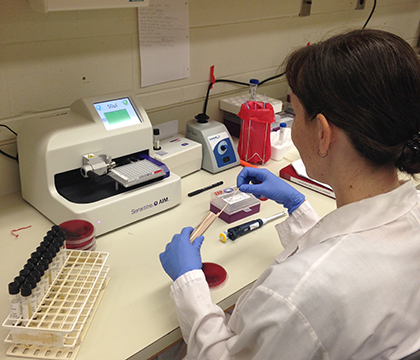 Mary Timonin tests fecal samples for antimicrobial resistance. Photo by Rachel Courtice.