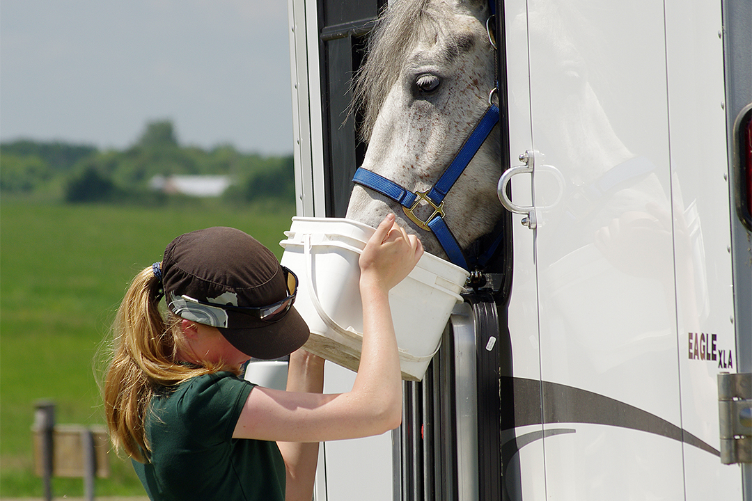 Using your own equipment and tying your horse to your trailer versus stabling with other horses can help prevent illness. Photo: Myrna MacDonald.