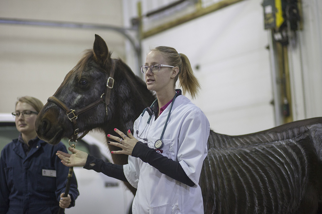 Veterinary student Samantha Deamel. Photo: Christina Weese.