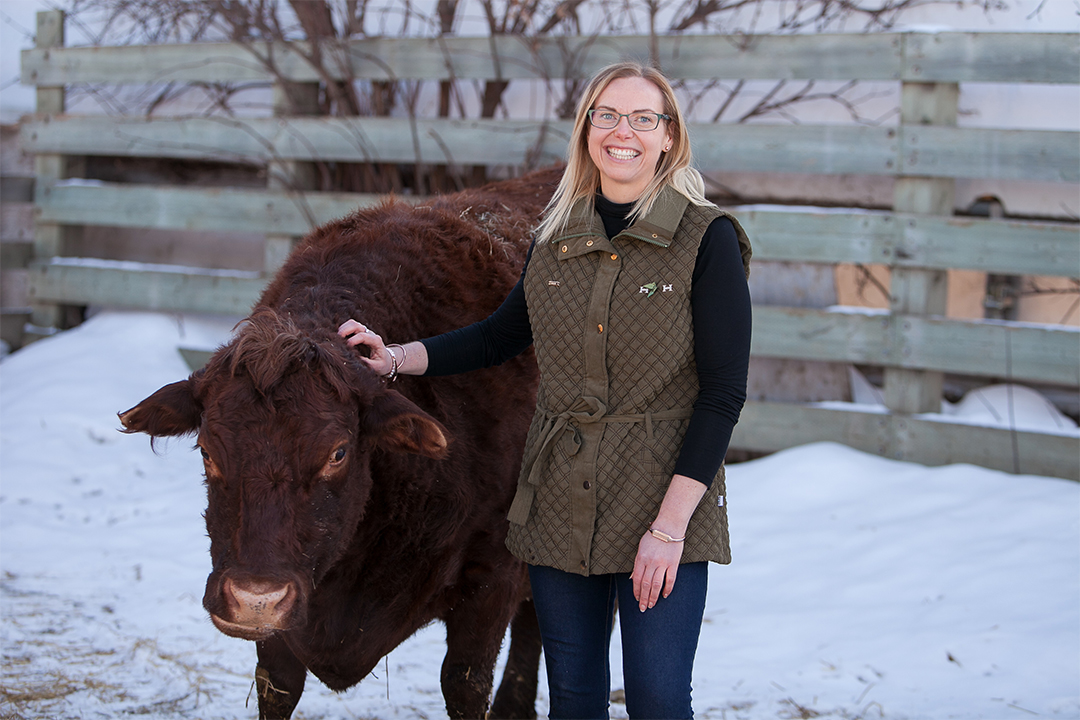 WCVM graduate student Dr. Felicity Wills grew up alongside cattle on her family’s ranch. Photo by Christina Weese.