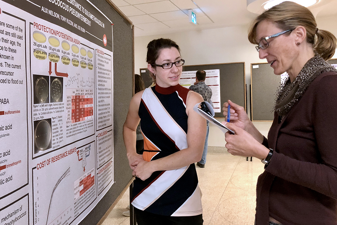 Third-year veterinary student Alix Nelson answers questions about her team's collaborative research work on sulfa-based drugs to poster judge Dr. Emily Jenkins during the WCVM's recent undergraduate student research poster days. Photo by Dr. Janet Hill.