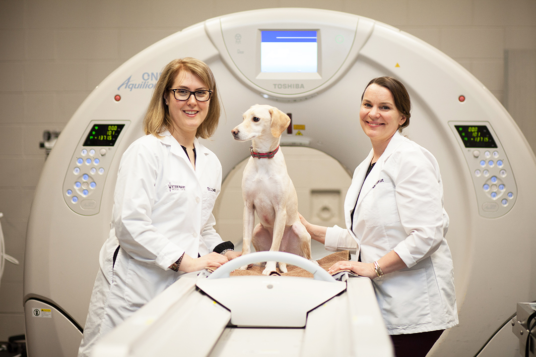 A new CT scanner has significantly enhanced the WCVM's medical imaging capabilities, says Dr. Lesley Zwicker (left) and Dr. Sally Sukut. Photo by Christina Weese. 