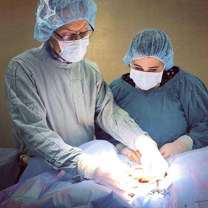 Christine Reinhart, right, assists her mentor, Dr. Glenn Merth, during a canine spay procedure. Submitted photo.