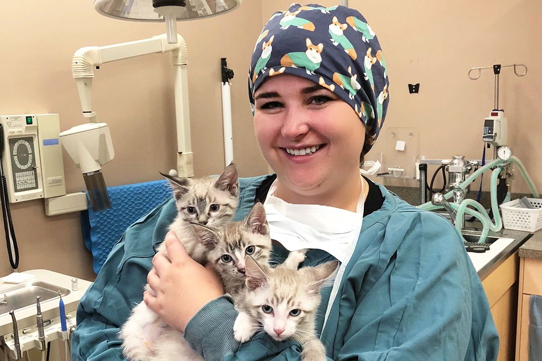 Christine Reinhart spent her summer at Weir Veterinary Services as part of her preceptorship. Submitted photo.