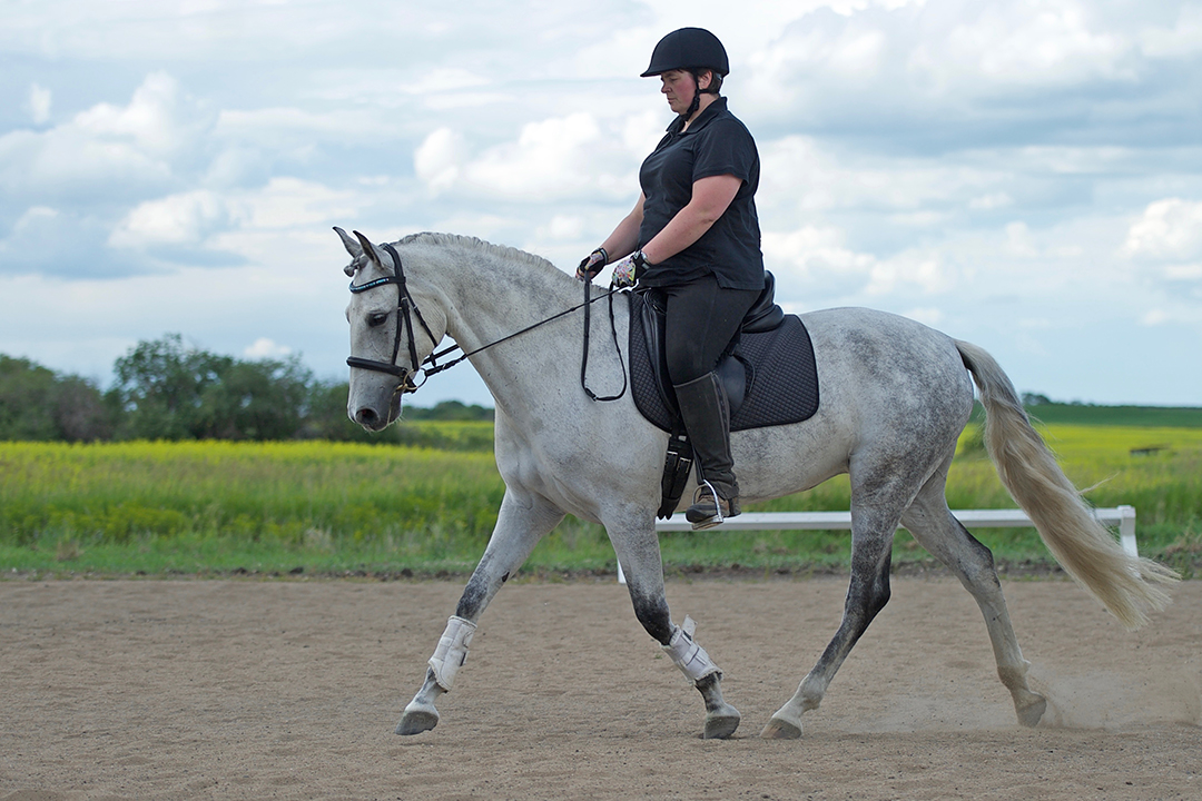 WCVM alumna Dr. Katherine Ball and Marley SHF, her grey Andalusian mare. Photo: Carolyn Lamontagne. 