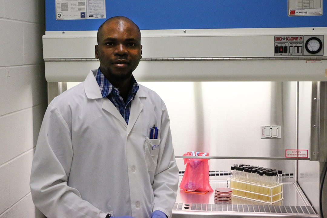 Moses Ikechukwu working in the lab at the WCVM. Photo by Harrison Brooks.