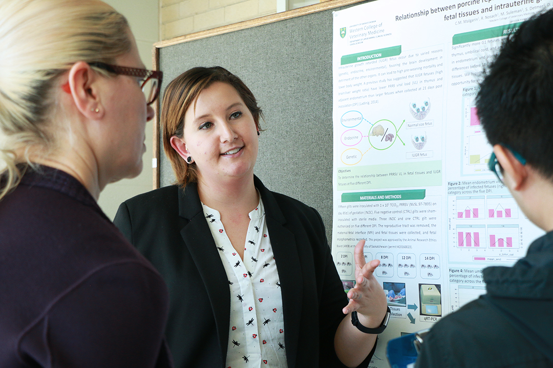 Graduate student Carolina Malgarin desciribes her project to visitors during the college's graduate student poster day. Photo: Taryn Riemer.