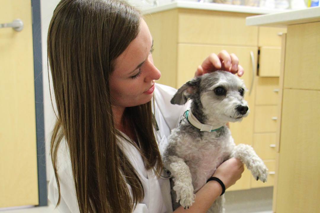 Jennifer Michaud with patient Chloe at OVC's Primary Healthcare Centre. 