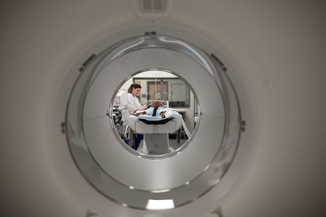 The WCVM's new PET-CT unit will serve as a hub for interdisciplinary research at the University of Saskatchewan. Photo by Christina Weese.