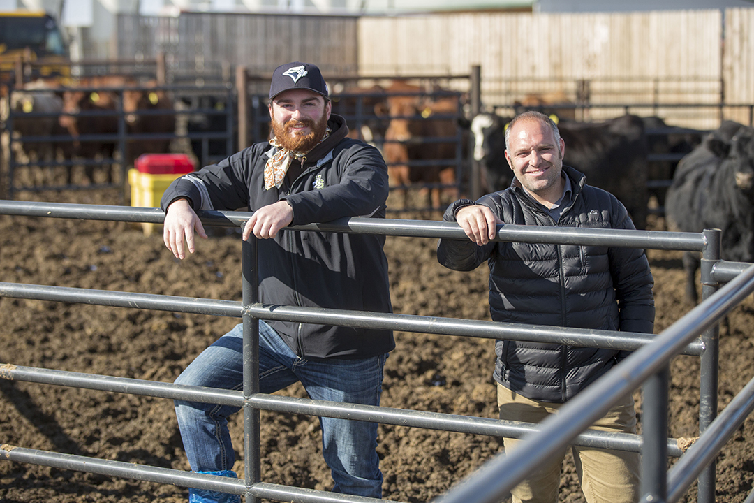 Master's student Caleb Eidsvik and USask cattle nutrition researcher Greg Penner at the USask Livestock and Forage Centre of Excellence (LFCE).