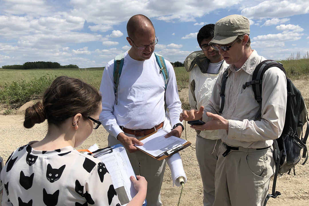 Dr. Maarten Voordouw (centre) and research team members conduct surveillance for ticks at a site east of Saskatoon, Sask. Photo: Dr. Emily Jenkins.