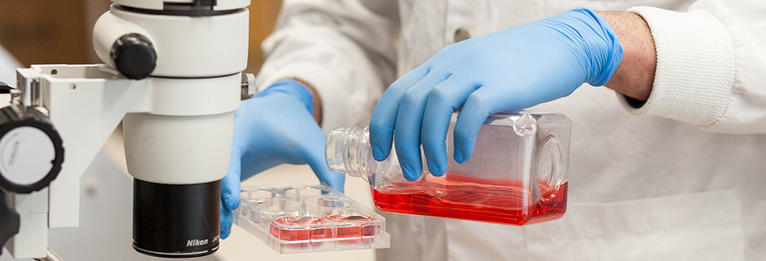 A researcher demonstrates how he prepares media and plates for tissue and cell cultures.  