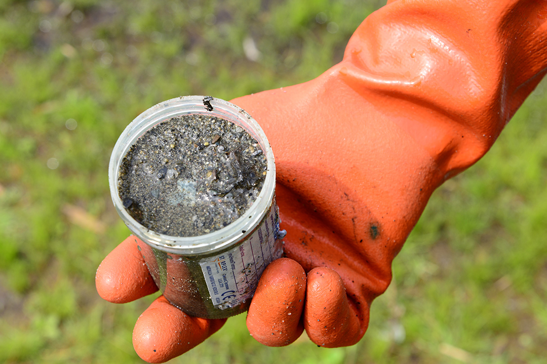 A wetland sediment sample collected for the research study. Photo: Delaney Schofer.