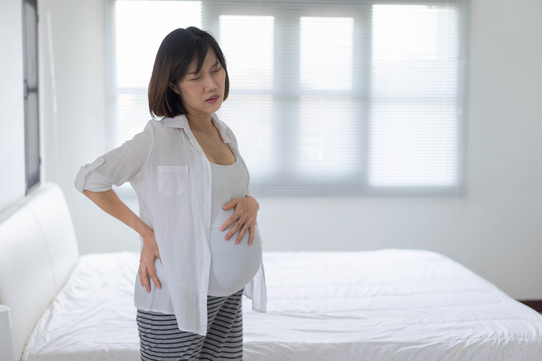 WCVM scientists ultimately hope to develop an ultrasonography technique that health care professionals could use to distinguish differences in a pregnant woman’s contractions. Photo: iStock.com.