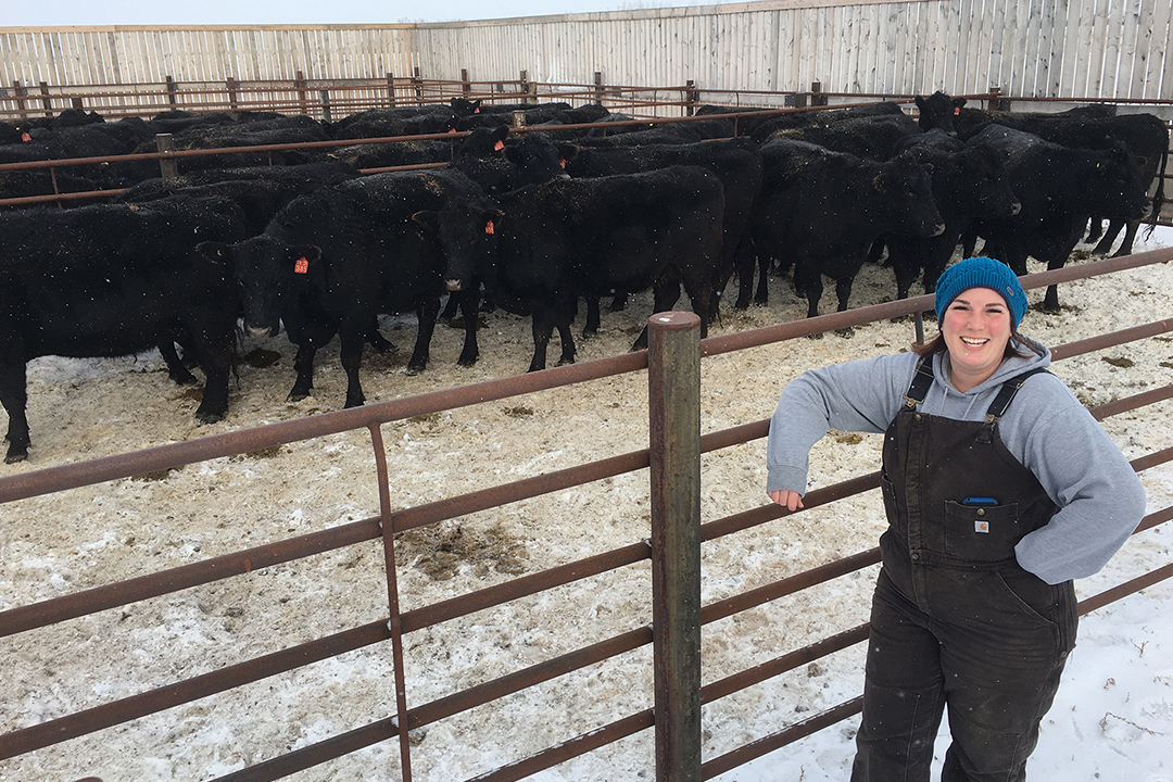 Rachel Carey’s research is addressing the old adage “waste not, want not” with her whole-systems study for feeding pregnant beef cows. Photo: Lana Haight.
