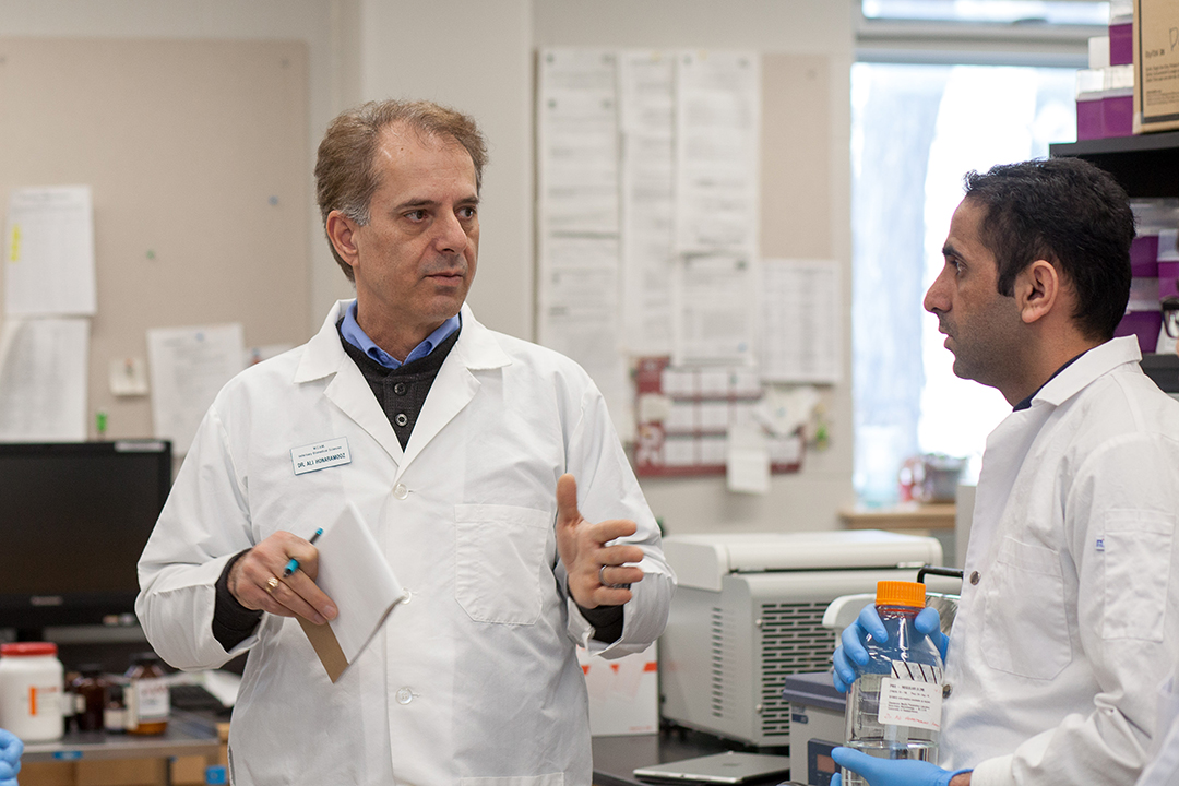 Dr. Ali Honaramooz (left): “We were the first to develop those [methods] and bring them to the stage where they have become viable options and models for many other labs to follow.