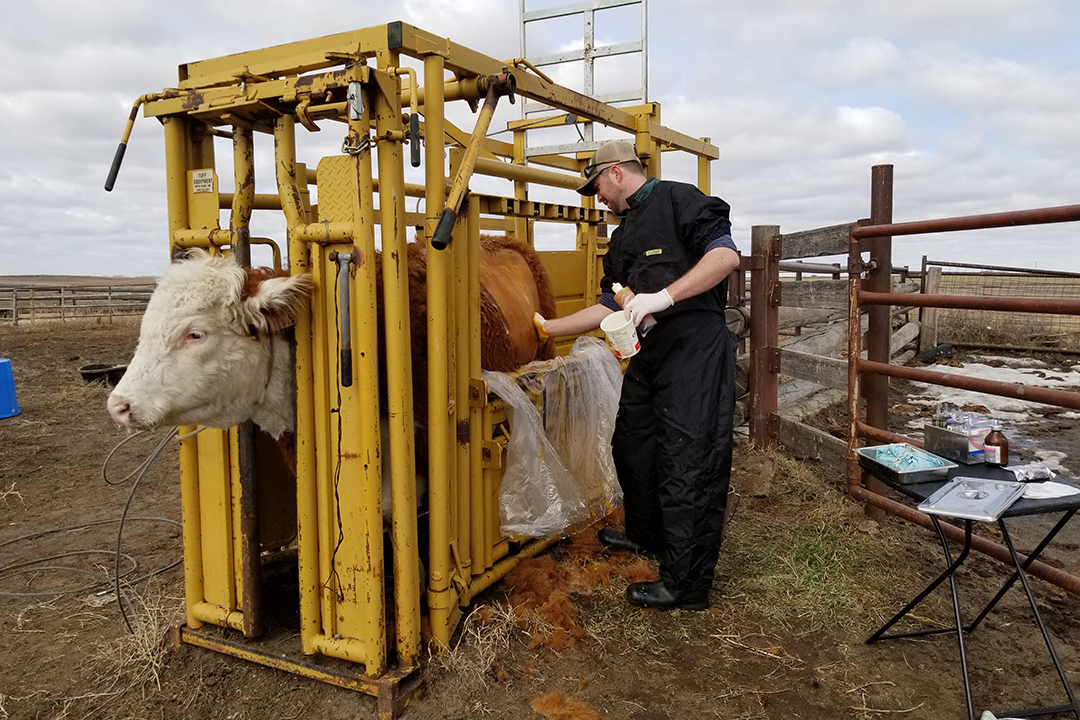 Dr. Colton McAleer: “Every day, there is something new to learn or a new way to look at … a problem or a complicated case. Supplied photo. 