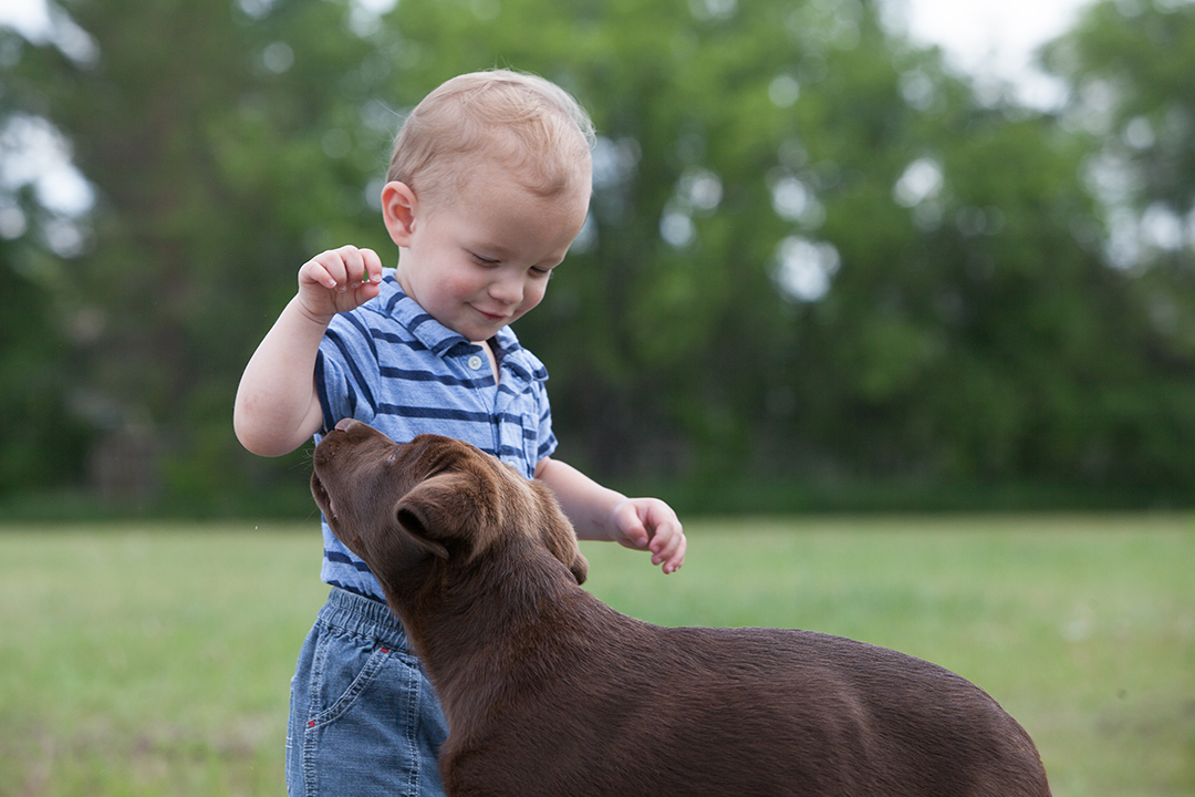 More than 50 per cent of dog bites involving children happen with dogs they know. Photo: Christina Weese. 