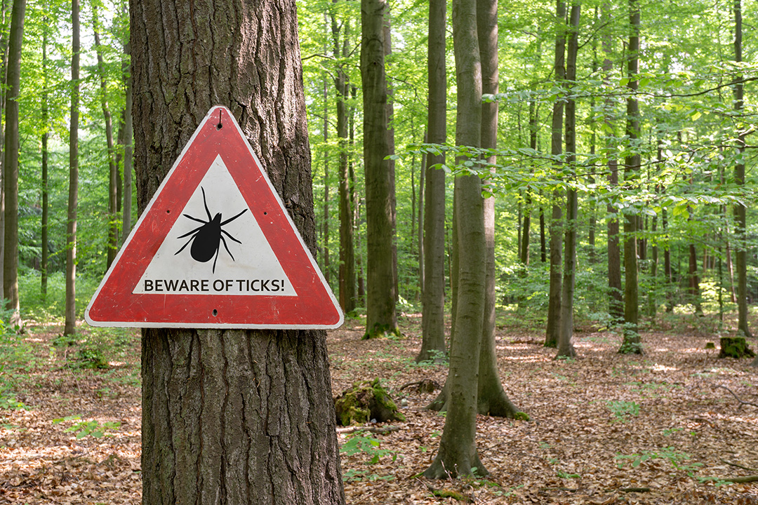 Uptick in Canada’s Lyme disease cases why we should care WCVM Today