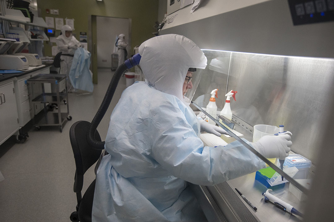 The University of Saskatchewan's Vaccine and Infectious Disease Organization (VIDO) has received $59.2 million in federal support for a facility expansion. Photo: University of Saskatchewan. 